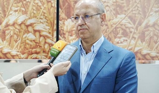 ۵۷ هزار تن گندم خریداری شد/تسویه حساب کامل با گندمکاران سمنان در هفته‌های آتی