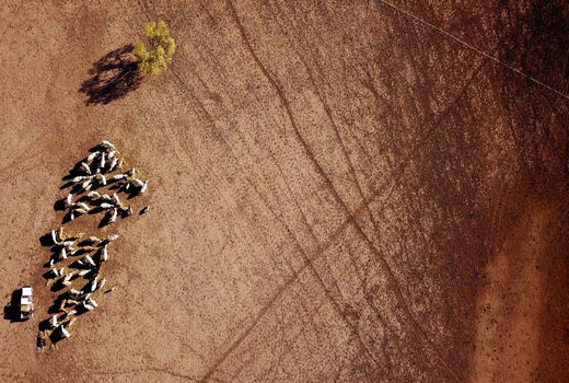 تصویر هوایی از خشکسالی در استرالیا‎ 