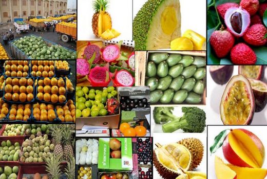 کشف640میلیون ریال محصولات کشاورزی قاچاق درشهرستان شمیرانات