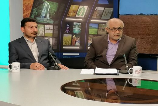 خرید محصول استراتژیک گندم در گلستان از مرز ۴۰۰ هزار تن گذشت