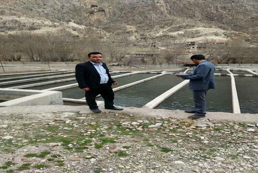 سرشماری شیلات های بخش فلارد شهرستان لردگان