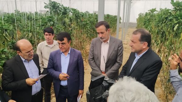 بازدید نماینده معین هیات دولت از دو شهرک گلخانه‌ای مهم در کهگیلویه و باشت