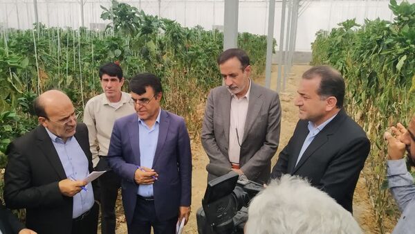بازدید نماینده معین هیات دولت از دو شهرک گلخانه‌ای مهم در کهگیلویه و باشت