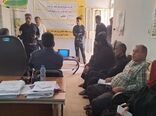 کشت روی پشته های بلند؛ راهکاری مناسب برای افزایش عملکرد گندم