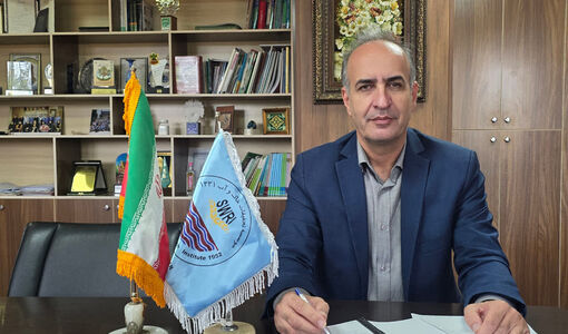  مدیریت تغذیه بهینه، عملکرد گندم آبی را ۲۴ و گندم دیم را ۳۲ درصد افزایش داد