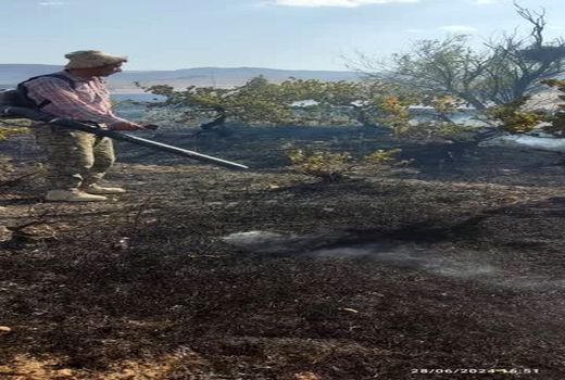 عابر بی احتیاط 158 تن محصول کشاورزی را به آتش کشید