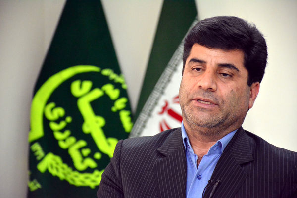 معدوم‌سازی جوجه در استان آذربایجان شرقی اتفاق نیفتاده است