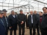 بازدید معاون وزیر جهاد کشاورزی از گلخانه هیدروپونیک در حال احداث مراغه