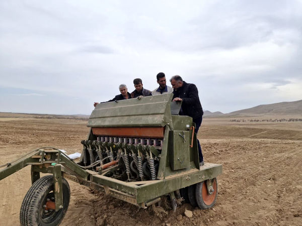 آغاز کشت علوفه دیم در چهارمحال و بختیاری / پیش‌بینی کشت 3هزار هکتار در سال 1404