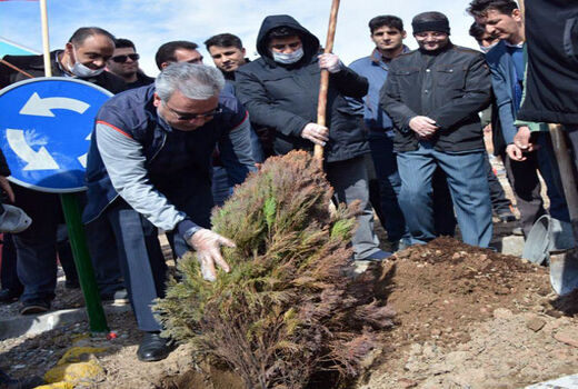 کاشت 71 هزار اصله نهال درسطح 110 هکتار پارک ائل باغی وتفرجگاه عون بن علی تبریز
