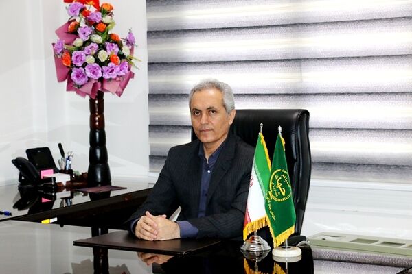 ۱.۵ میلیون تن گندم در کردستان تولید می‌شود