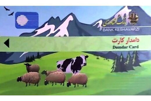 رتبه اول مازندران در صدور دامدارکارت/ 900 کارت صادر شد