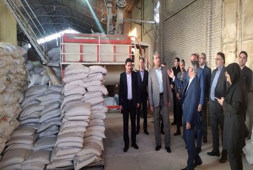 راه اندازی کارخانه خوراک دام اتحادیه دامداران فارس پیگیری می شود