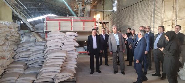 راه اندازی کارخانه خوراک دام اتحادیه دامداران فارس پیگیری می شود