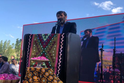 از سرمایه گذاری در فرآوری گل محمدی حمایت می کنیم 