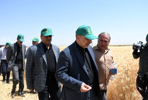 لزوم استفاده از همه ظرفیت‌ها برای دانش‌بنیان کردن بخش کشاورزی