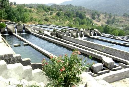 درمزارع پرورش ماهی شهرستان اردل  از مالاشیت گرین استفاده نشده است