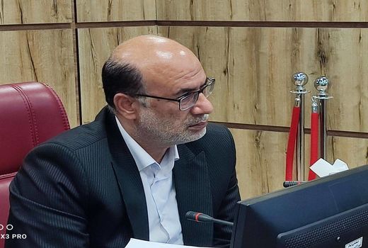 سالانه ۶۸۰ هزار تن محصولات زراعی در ایلام تولید می شود