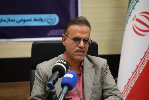 36 هزار و 500 هکتار از اراضی بوشهر زیر کشت گندم رفت