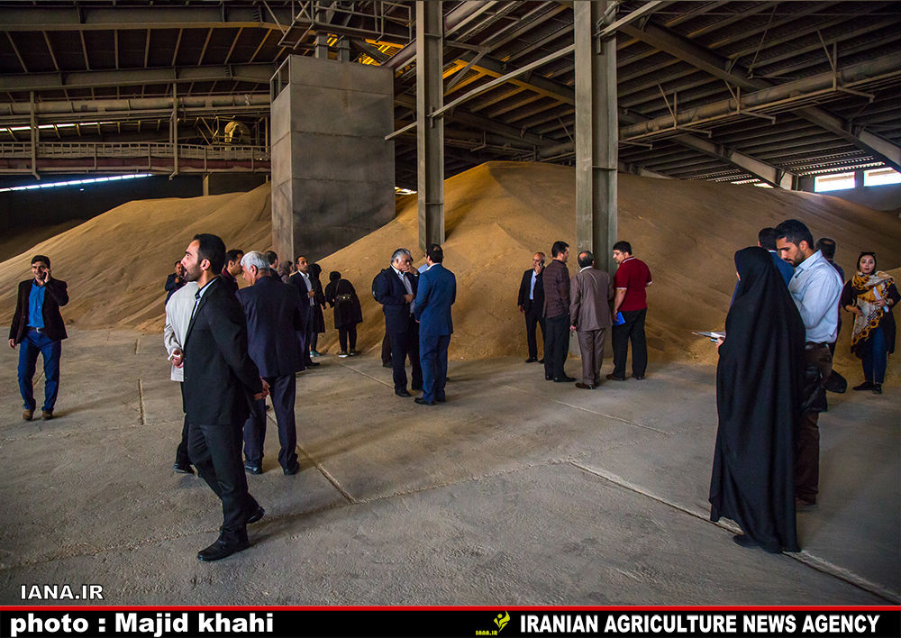 بازدید از کارخانه آرد
