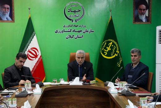 معافیت 50 درصدی تعرفه صادراتی باعث رونق بازار مرکبات می شود