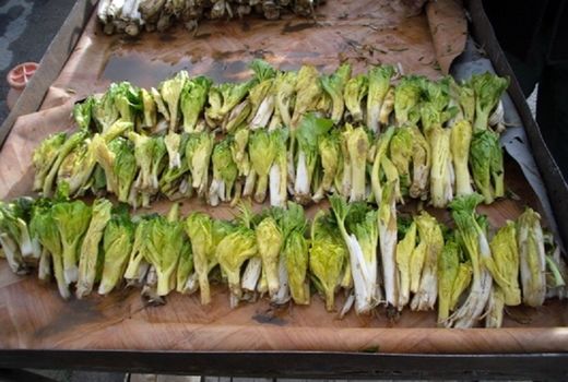 برداشت بی‌رویه و خطر انقراض کلوس