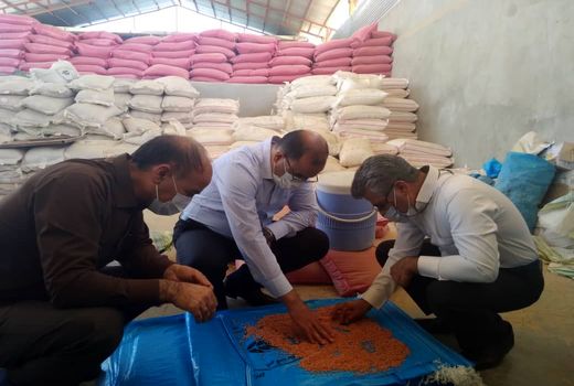 بازدید رئیس سازمان جهاد کشاورزی لرستان از وضعیت فرآوری و بوجاری بذور گندم و جو شهرستان کوهدشت 