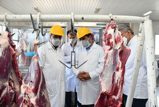 از کشتار دام های سنگین مولد جلوگیری بعمل می آید