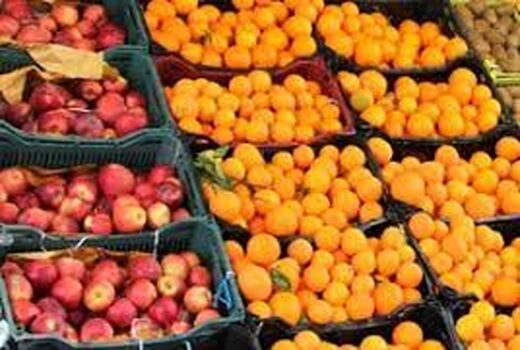 ظرفیت ذخیره سازی 50هزار تنی انبارهای تعاون روستایی در لرستان