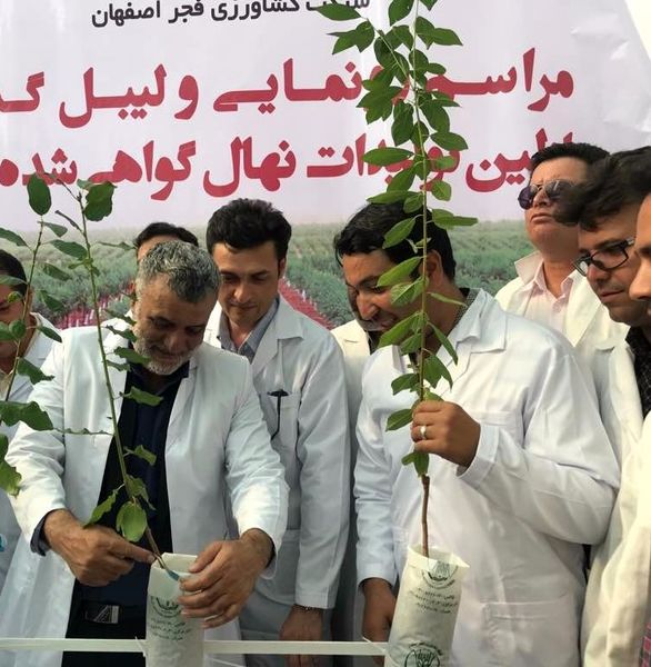 کشت محصول را به فضای بسته و گلخانه ای ببریم