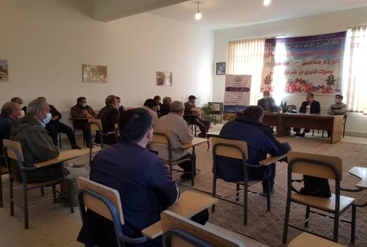 کلزاکاران پیشرو شهرستان ری تقدیر شدند/افزایش دوبرابری سطح کشت کلزا در کهریزک