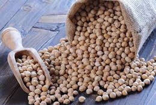 تولید بیش از 370 تن نخود در مرودشت 