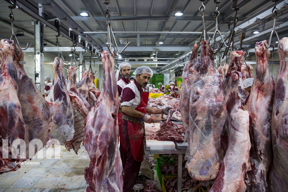 بسته‌بندی محصولات پروتئینی