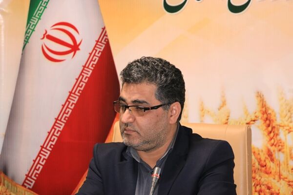 سال گذشته جوجه ریزی در مرغداری های استان رشد 10 درصدی داشته است
