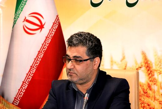 سال گذشته جوجه ریزی در مرغداری های استان رشد 10 درصدی داشته است
