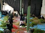 اشتغال‌زایی مناسب گیاهان دارویی برای زنان و دختران جویای کار