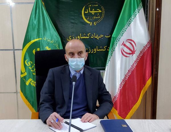 تا پایان سال ۱۴۰۴ سطح گلخانه های لرستان به ۳۰۰ هکتار گلخانه فعال خواهد رسید