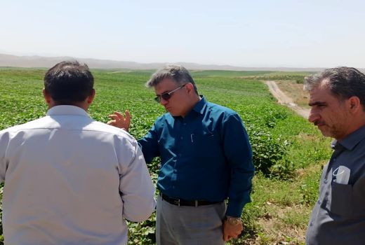 بازدید مجری طرح شبکه های فرعی آبیاری زهکشی غرب و شمال غرب کشور از منطقه خدافرین استان آذربایجان شرقی