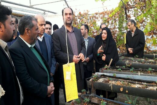 در حال حاضر ۵۰ هکتار گلحانه برای کشت محصولات کشاورزی در دست اجرا است