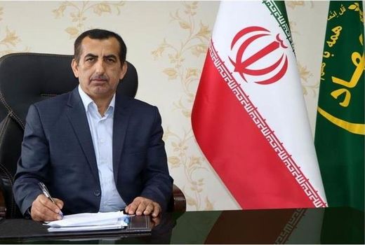 با افزایش تولید و اصلاح الگوی مصرف نیازی به واردات برنج نداریم/ افزایش قیمت نهاده‌ها نهایی نشده است