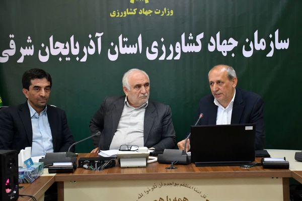 تولید سالانه بیش از ۱۲۰ هزار تن گوشت مرغ در آذربایجان شرقی