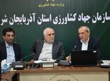تولید سالانه بیش از ۱۲۰ هزار تن گوشت مرغ در آذربایجان شرقی