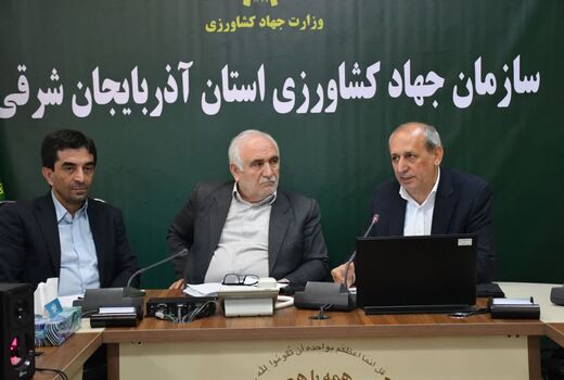 تولید سالانه بیش از ۱۲۰ هزار تن گوشت مرغ در آذربایجان شرقی