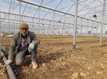 آغاز نهضت توسعه گلخانه‌ها در استان هم‌زمان با آغاز دولت سیزدهم