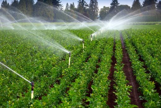 فرهنگ سازی برای مصرف بهینه آب کشاورزی ضروری است