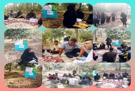 انتقال تجربه به صورت چهره به چهره در نخلستان آبادان