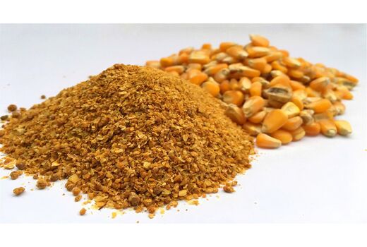 توزیع 4900 تن نهاده بین دامداران قائم شهری