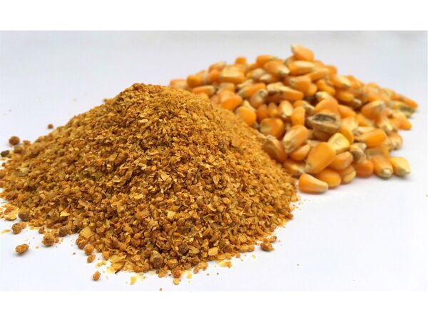 توزیع 4900 تن نهاده بین دامداران قائم شهری