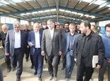 بازدید وزیر جهاد کشاورزی از مجتمع پرورش و اصلاح نژاد گوسفند 7هزار رأسی 