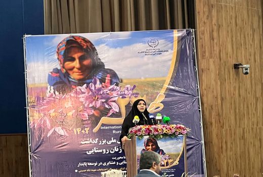 لزوم سیاست‌گذاری و پشتیبانی قانونی در حوزه زنان روستایی و عشایری